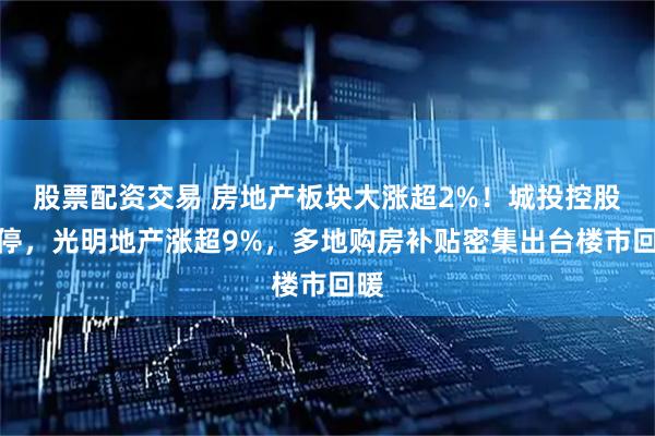 股票配资交易 房地产板块大涨超2%！城投控股涨停，光明地产涨超9%，多地购房补贴密集出台楼市回暖